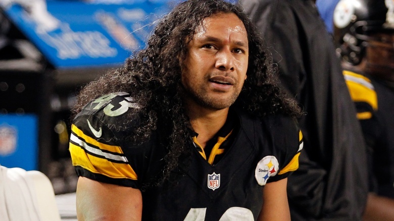 Troy Polamalu's Hair