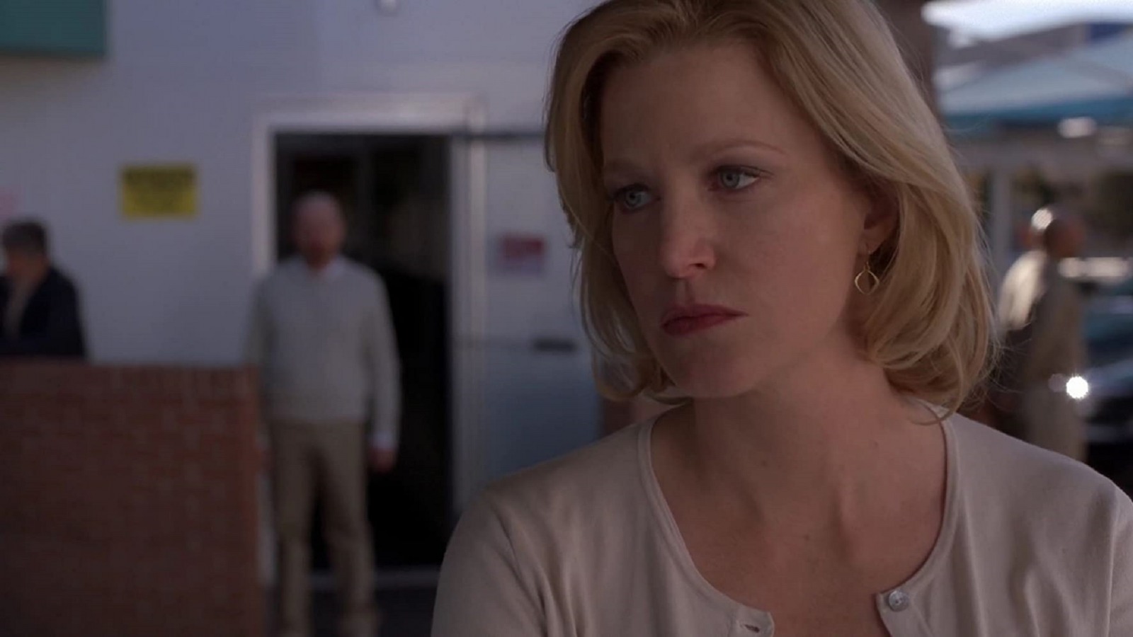 Films Et Séries Tv Avec Anna Gunn How Anna Gunn's Career Went Downhill After Breaking Bad