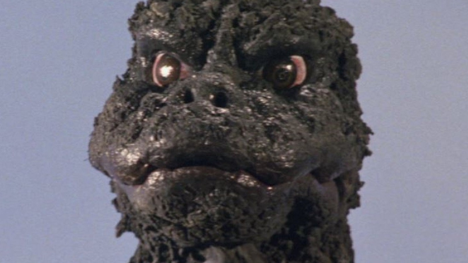 Our Resident Expert Answers The World's Hardest Godzilla Questions - Vimarsana News