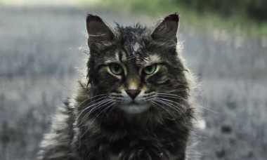 Pet Sematary remake cat Church